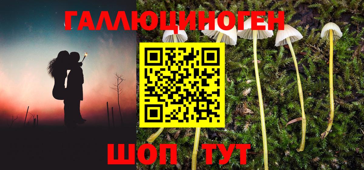 Псилоцибиновые грибы MAGIC MUSHROOMS Ухта